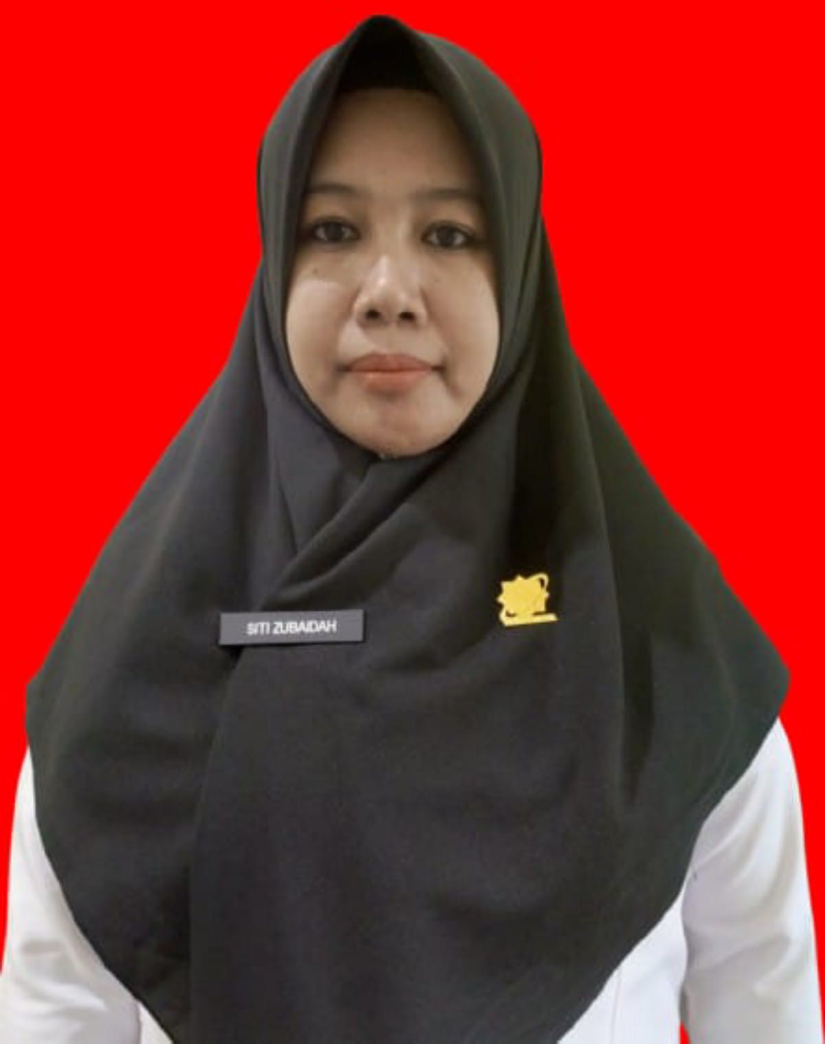 SITI ZUBAIDAH, S.Pd